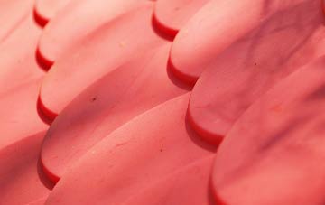 Bath Vale plastic roof costs