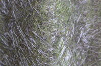 Bath Vale fibreglass roof work